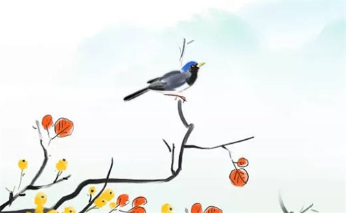 冷门且高级的店铺名字 温馨治愈系小店名字