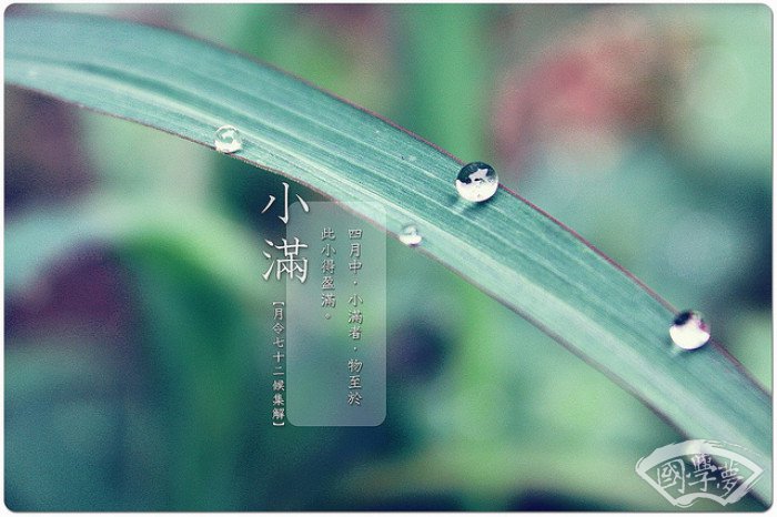 节气活动介绍：小满风俗特点都有哪些