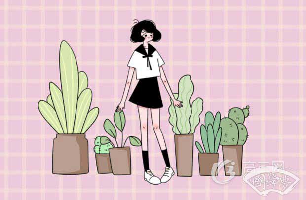 苏轼诗的特点和风格有哪些