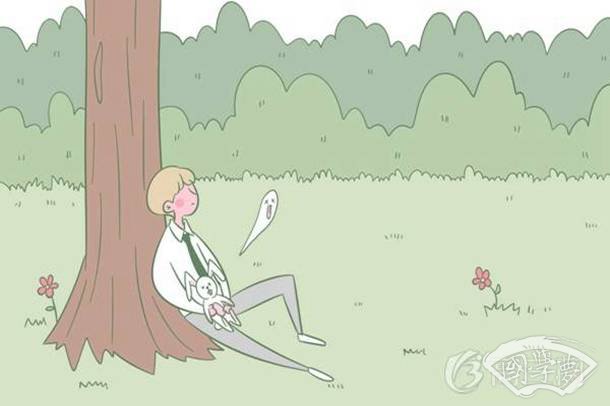 咏雪主要写了什么内容