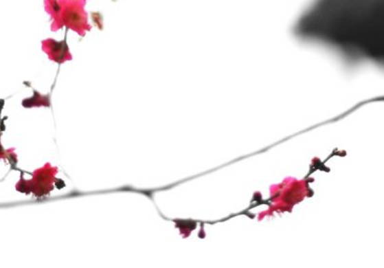 生肖属虎妈妈2020年适合生鼠宝宝吗