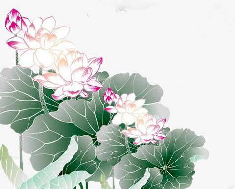 八字配对免费，六合最佳，六合指十天干的合局
