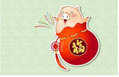 2019出生的宝宝是金猪吗，是财运好的木猪
