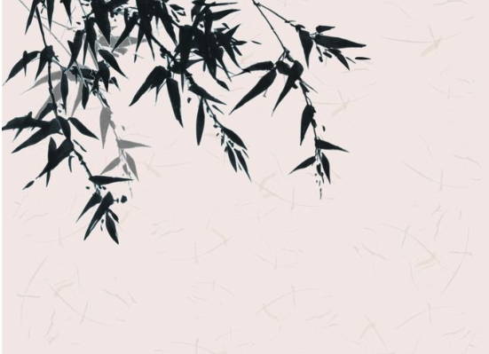 生肖属鼠妈妈和生肖属猴爸爸2020年适合生宝宝吗，相合？
