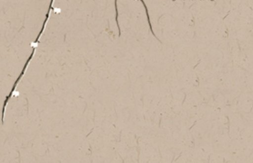 2020-11-10_095320.jpg