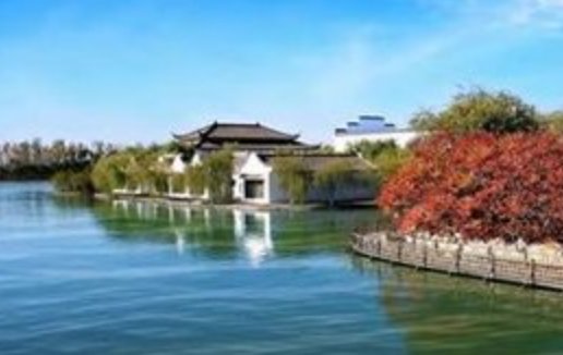 生肖月运 属马的人2021年2月份运势运程详解