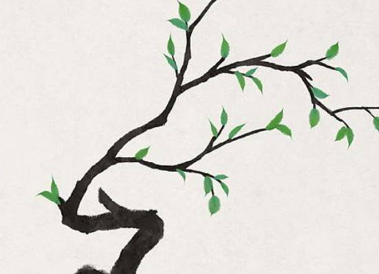 生肖属鼠妈妈和生肖属马爸爸2020年适合生宝宝吗