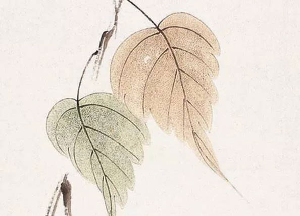 2010年生的10岁生肖虎人2020年运势好吗，学业顺利，健康不乐观