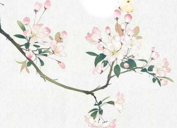  生肖属蛇的妈妈和什么生肖属相的孩子是六合，蛇和猪六合