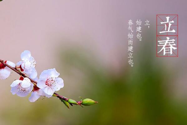 属相按立春还是春节划分 属相划分依据