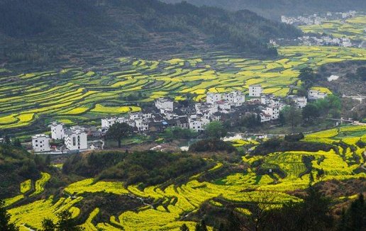 属鼠人每月运势运程 2021年7月总运最全解析