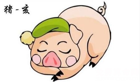 属猪的男人性格分析，属猪男遇挫折时易怨天尤人，消极悲观