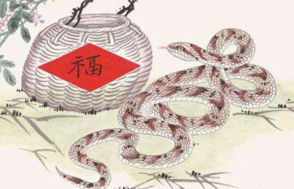 属蛇B血型的人性格与事业姻缘 婚姻运不大好