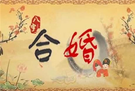 生辰八字配对合婚指数 具体内容和衡量方法