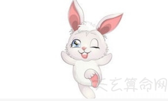 2019年属兔的运势  今年整体运势顺风顺水
