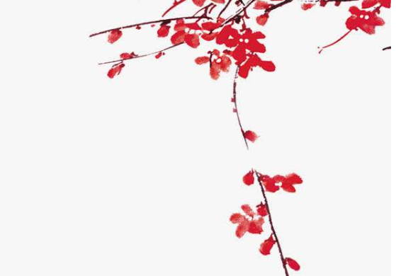 生肖属猪妈妈2020年适合生鼠宝宝吗