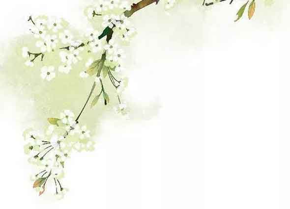 2021年属马的人桃花运不佳 学习成为更靠谱的恋人