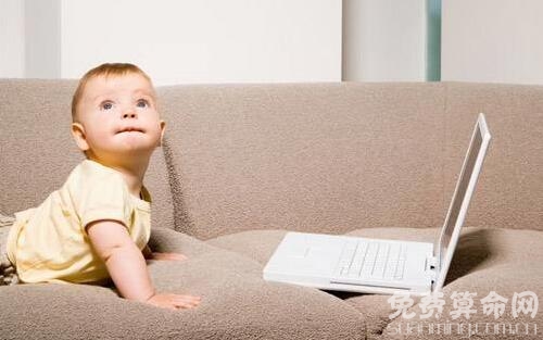 属猪的和什么属相相克,属猪遇属猪争吵较多不和谐