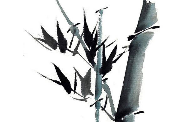 生肖属虎爸爸和什么生肖属相的孩子是三合，六合
