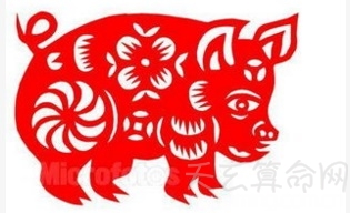 2019年属猪的运势   本命年事业先苦后甜