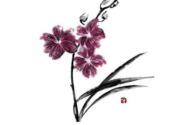 八字配对:属牛和属虎的合吗 可不可以结婚吗