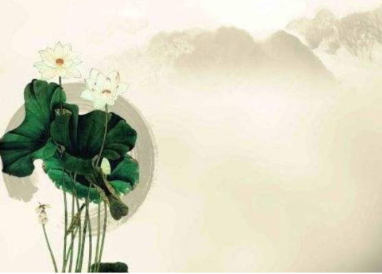2019猪年12月生肖属兔人财运怎么样,适合投资吗