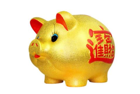 2019出生的宝宝是金猪吗，是财运好的木猪