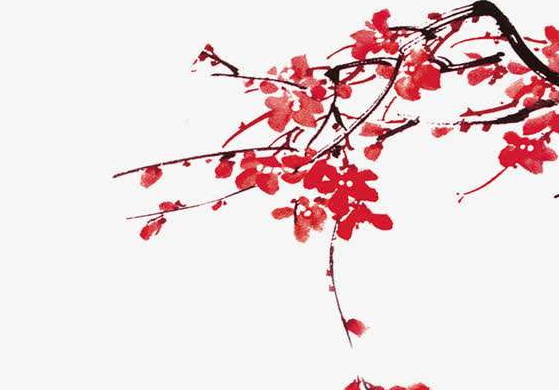 生肖属猪妈妈2020年适合生鼠宝宝吗