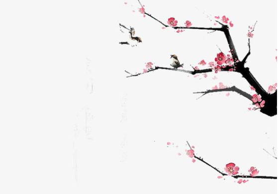 生肖属虎爸爸2020年适合要鼠宝宝吗