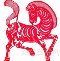 属马的人的性格  头脑灵活喜欢自由无拘无束