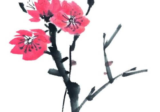 生肖属鼠妈妈和生肖属猴爸爸适合生什么属相的孩子