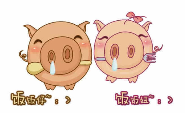 属猪的本命年吉祥物介绍以及佩戴宜忌