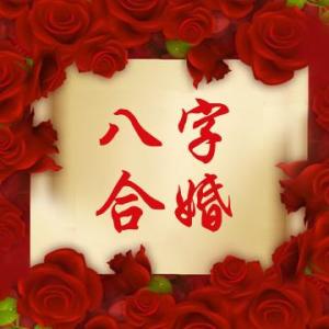 八字合婚合几个字为好 合四个字就基本可以