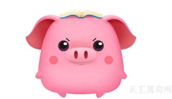 金猪年怎么算的 金猪年的计算方法