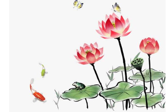 生肖属马妈妈和生肖属马爸爸2020年适合生鼠宝宝吗