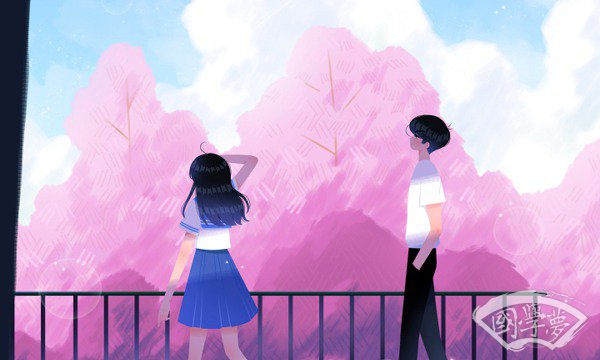 形容女子温婉恬静的诗句 赞美女子的诗句有哪些