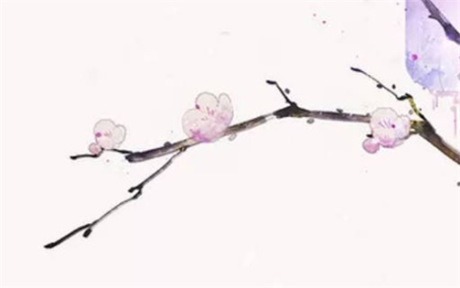 2023年农历正月二十九雨水是老黄历开张吉日吗  适不适合开业