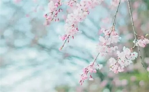 2023年2月21日购置新车好吗  是新车上牌好日子吗