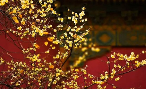 2023年2月24日宜复工吗 是最佳开工好日子吗
