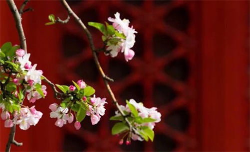 生肖虎2023年5月开业好不好 开店开业大吉日