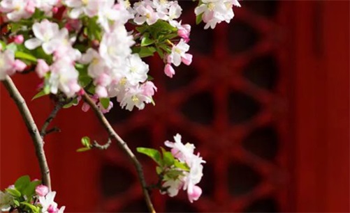 生肖鼠2023年5月开业看日子选吉日 开张择吉一览表