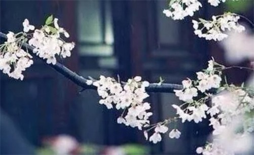 2023年4月6日开门营业好吗 最佳开业的时辰
