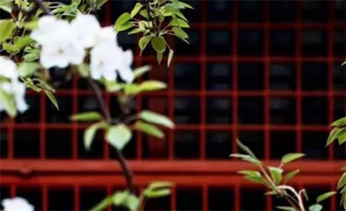 2023年4月2日开业日子好吗 宜开张做生意吗