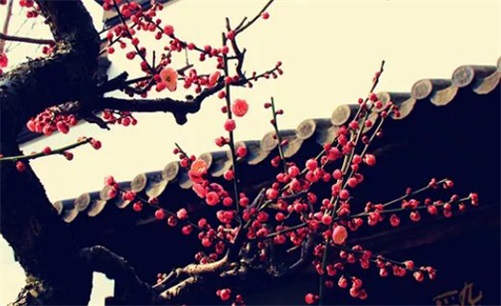 2023年4月10日是店铺开业吉日,闰二月二十老黄历宜开工吗