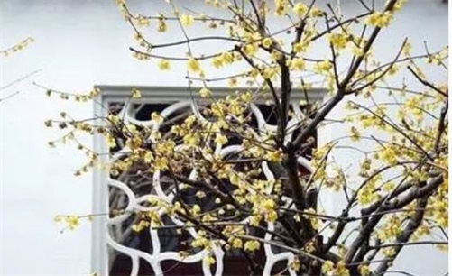 2023年4月28日安门哪几方大利,三月初九适合安门的吉时查询