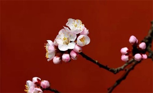 2023年农历三月十三开业可以吗  适合开业做生意吗