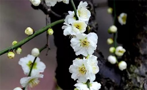 2023年4月11日是开店开业最佳吉日吗 宜做买卖生意吗