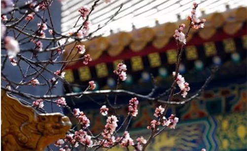 2023年4月14日是开工好日子吗,闰二月二十四开工复工最佳吉时