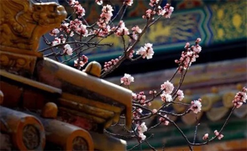 2023年4月15日是上等开工黄道吉日吗,闰二月二十五这天适合复工吗