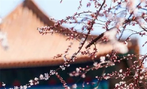 2023年农历三月初五是开张大吉好日子吗  门店开业吉时查询
